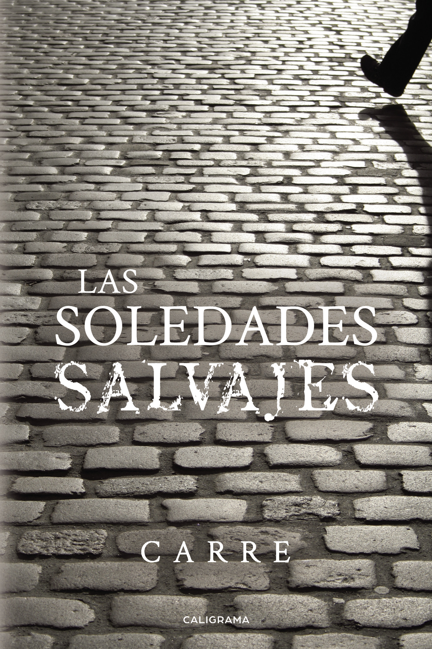 LAS SOLEDADES SALVAJES