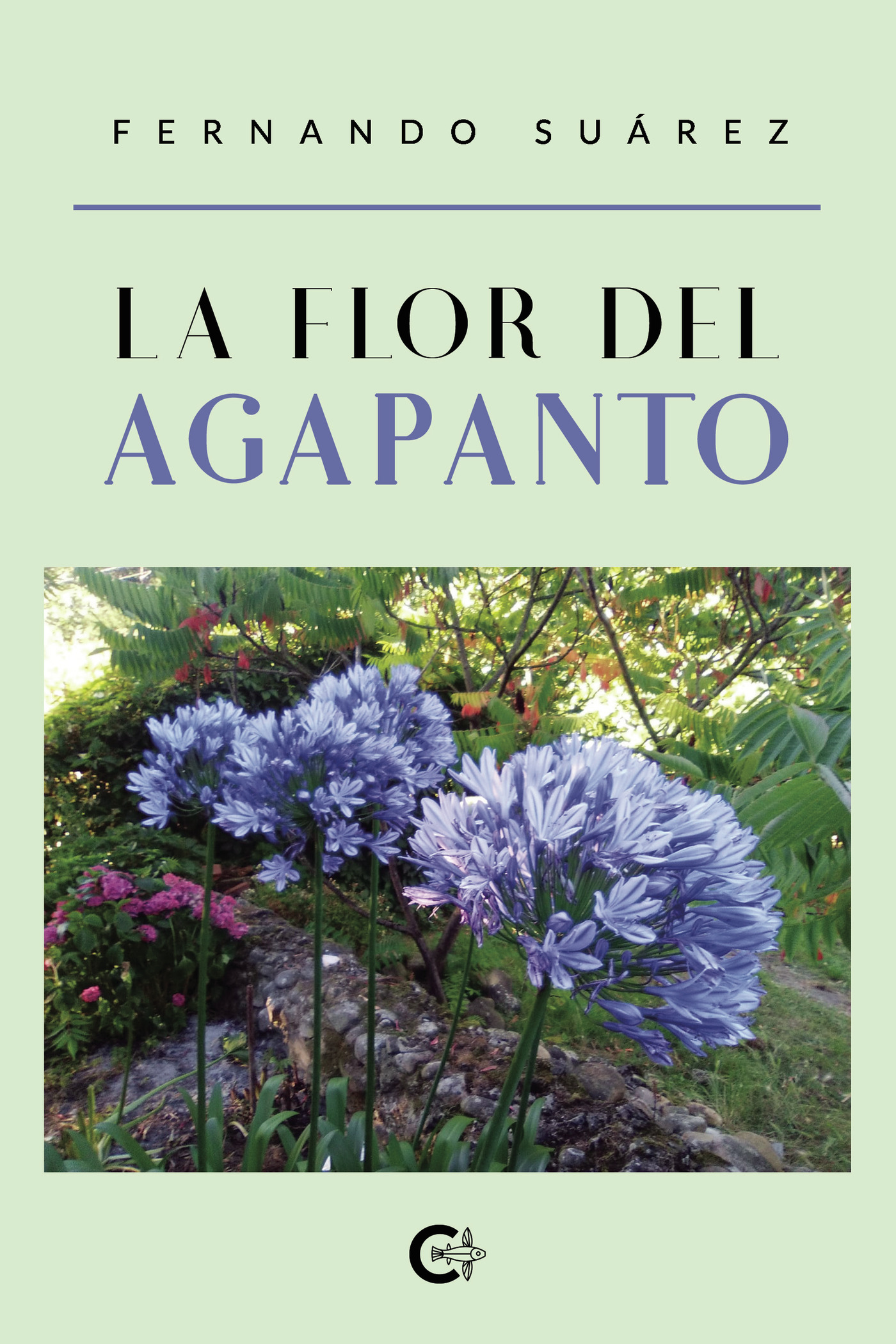 LA FLOR DEL AGAPANTO