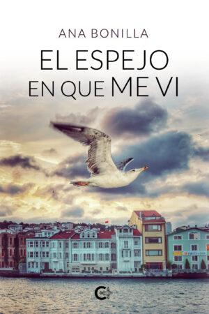 EL ESPEJO EN QUE ME VI