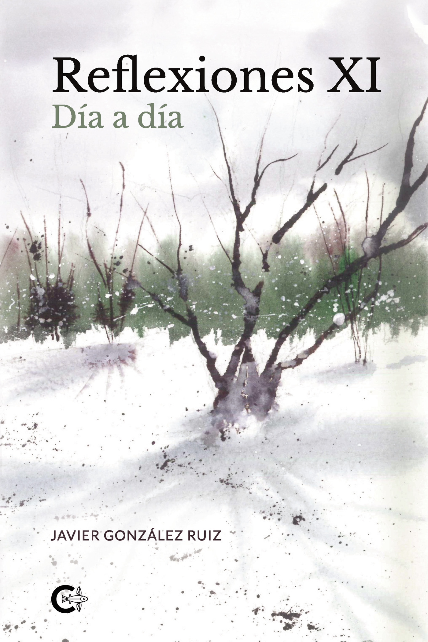 REFLEXIONES XI