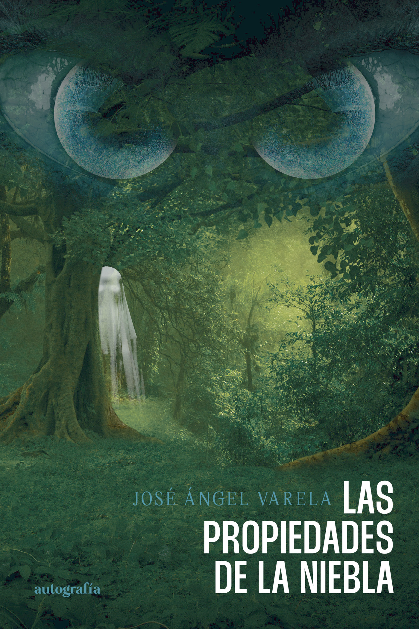 LAS PROPIEDADES DE LA NIEBLA