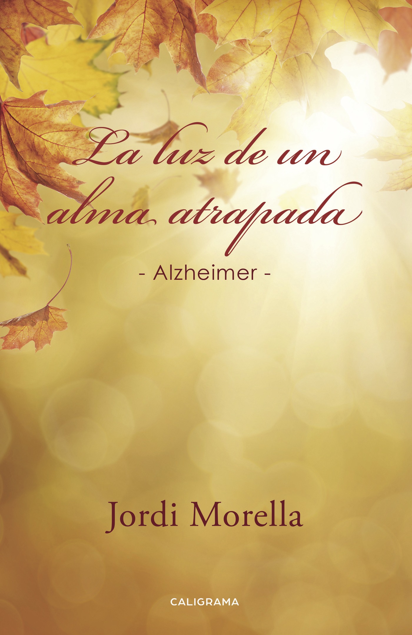 LA LUZ DE UN ALMA ATRAPADA