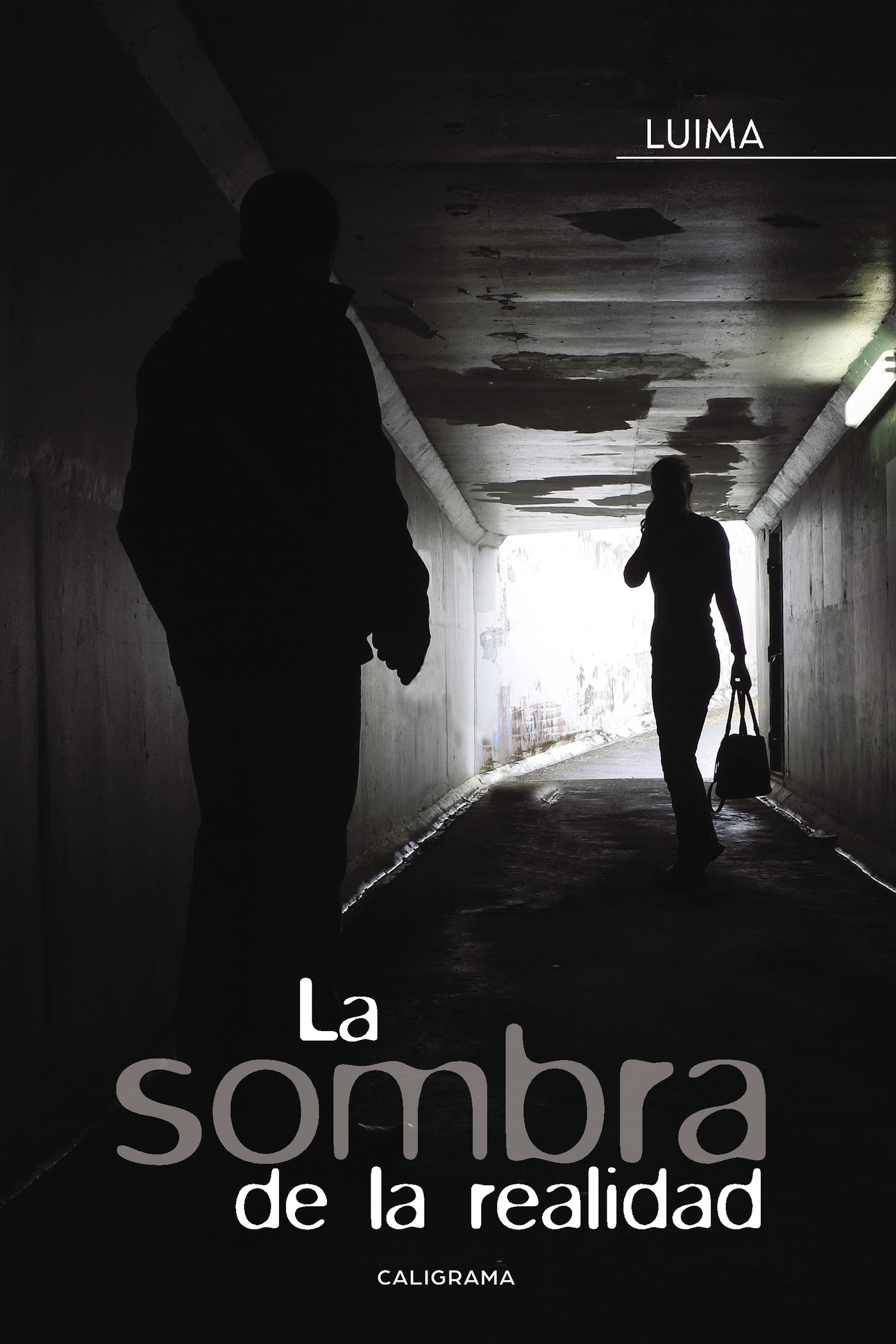 LA SOMBRA DE LA REALIDAD