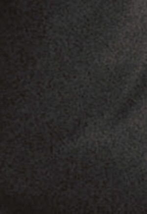 BREVE HISTORIA DE FIDEL CASTRO