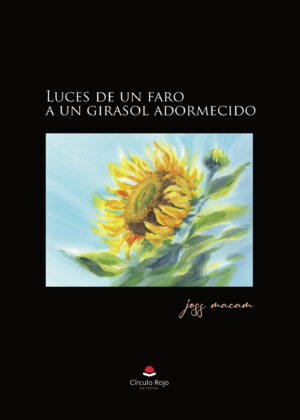 LUCES DE UN FARO A UN GIRASOL ADORMECIDO