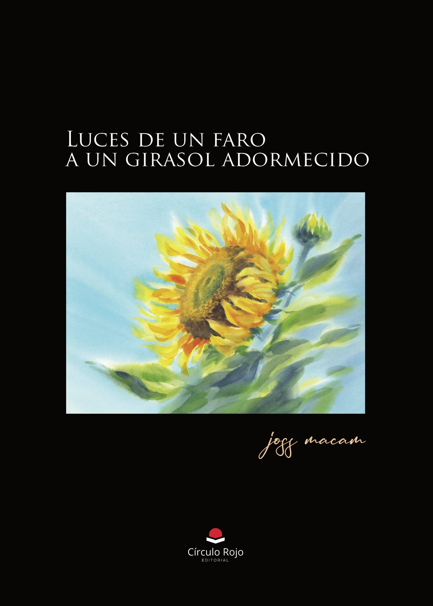 LUCES DE UN FARO A UN GIRASOL ADORMECIDO