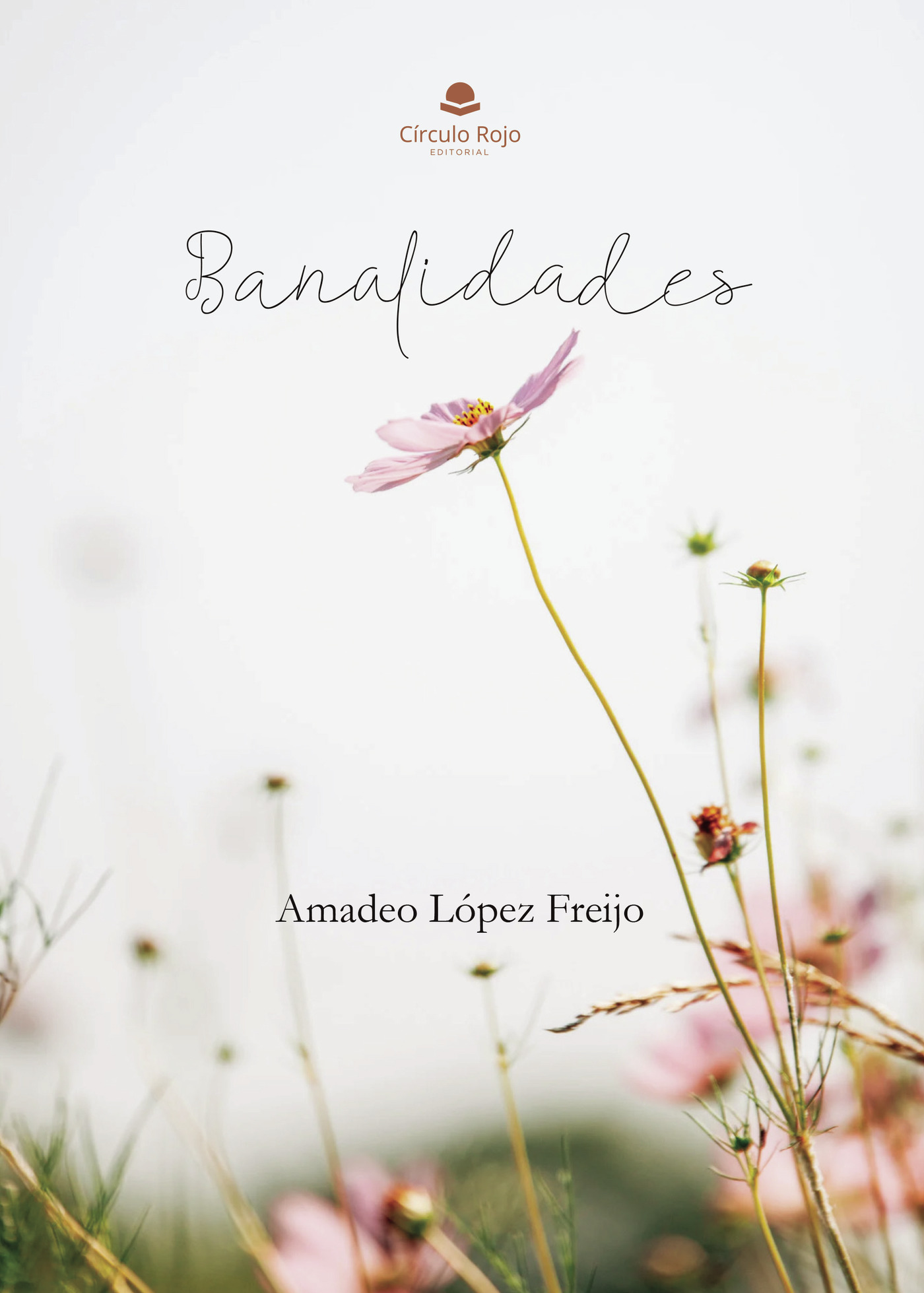 BANALIDADES