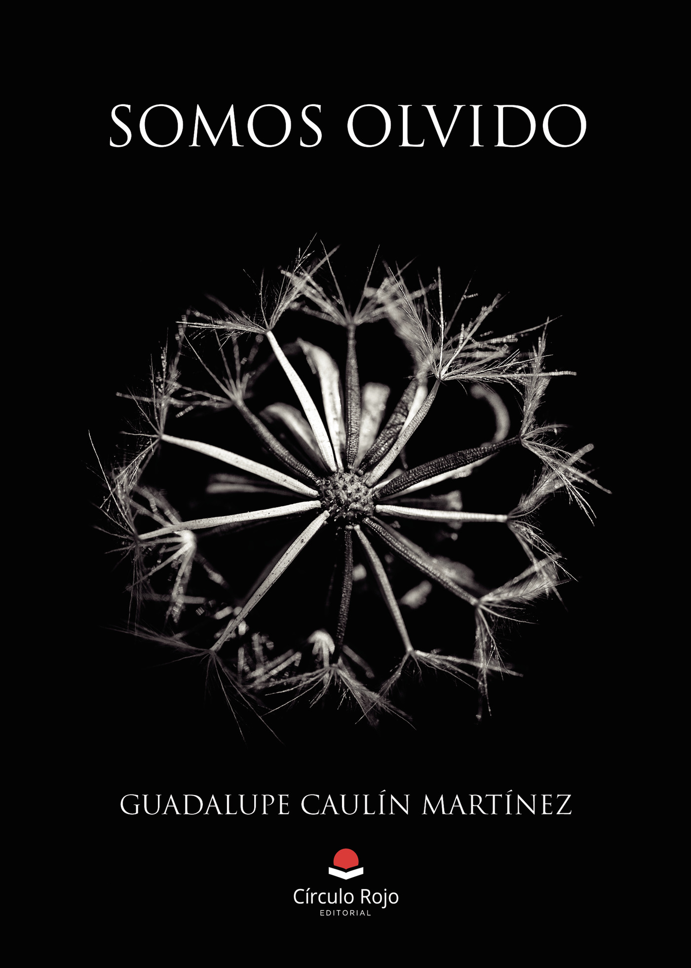 SOMOS OLVIDO