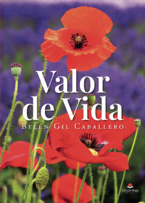 VALOR DE VIDA