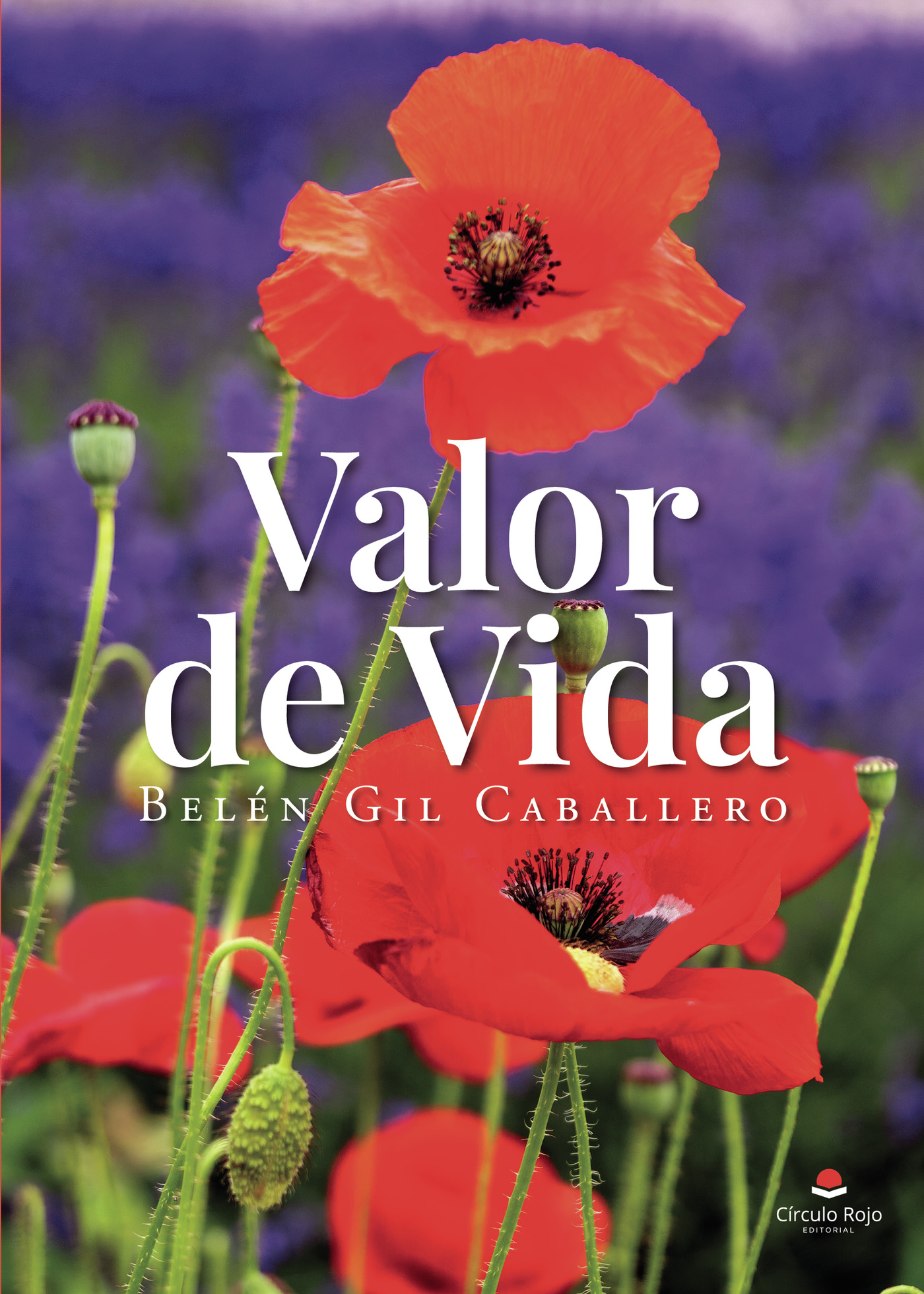 VALOR DE VIDA