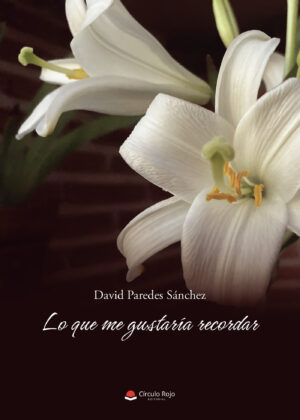 LO QUE ME GUSTARÍA RECORDAR
