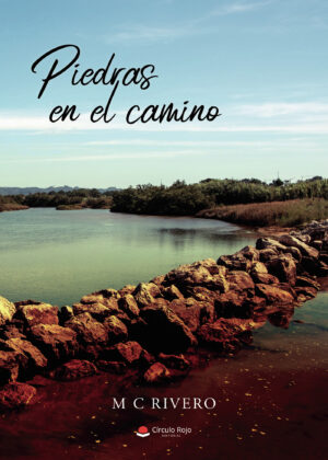 PIEDRAS EN EL CAMINO