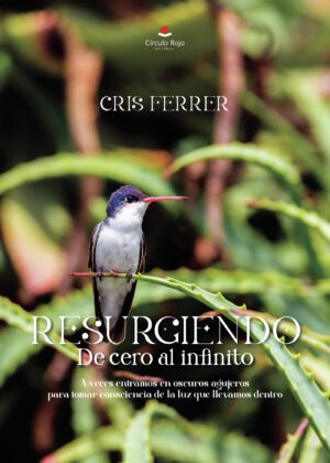 RESURGIENDO... DE CERO AL INFINITO