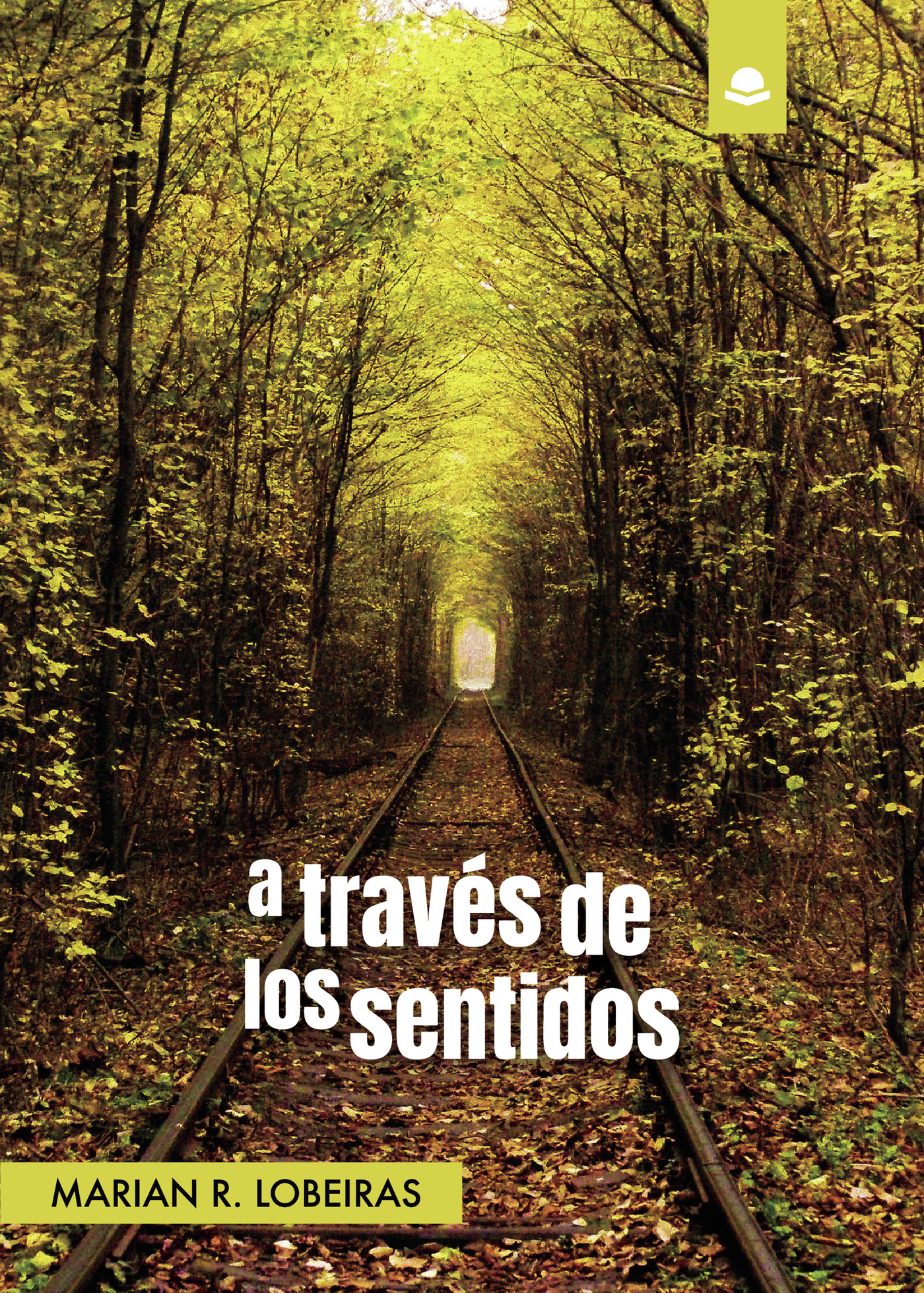 A TRAVÉS DE LOS SENTIDOS