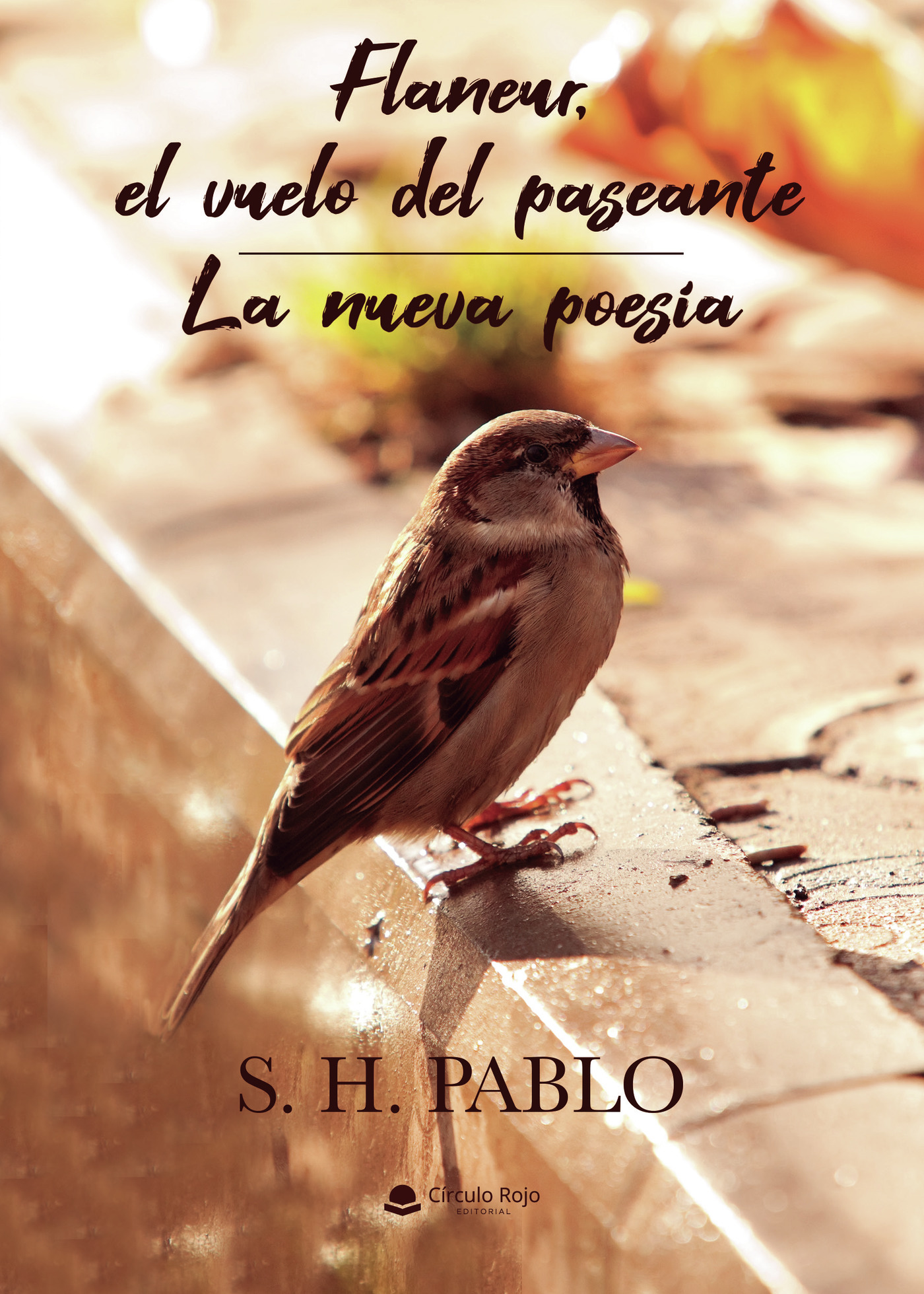 FLANEUR, EL VUELO DEL PASEANTE