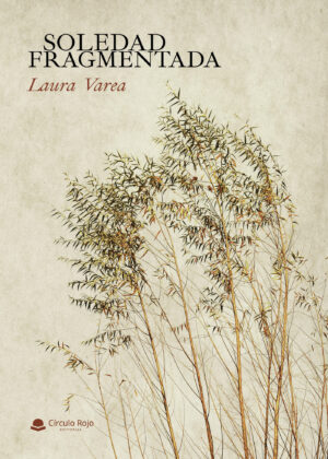 SOLEDAD FRAGMENTADA