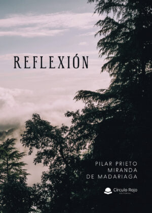 REFLEXIÓN