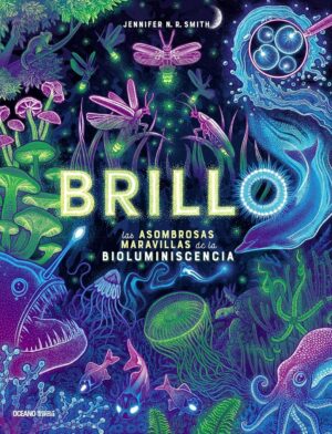 BRILLO