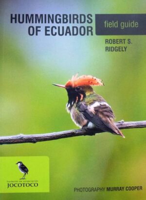 COLIBRIES DEL ECUADOR - GUIA DE CAMPO