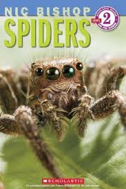 SPIDERS