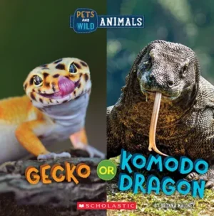 GECKO OR KOMODO DRAGON