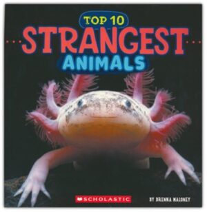 STRANGEST ANIMALS