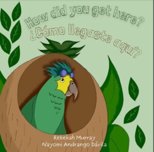 HOW DID YOU GET HERE?/COMO LLEGA STE AQUI?