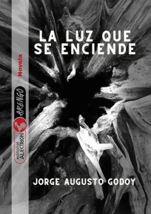 LA LUZ QUE SE ENCIENDE