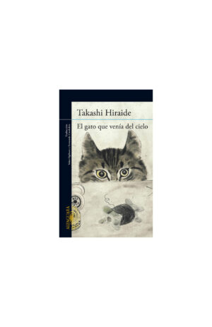 EL GATO QUE VENIA DEL CIELO